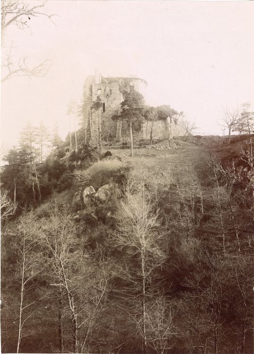 vue générale du château dans son environnement