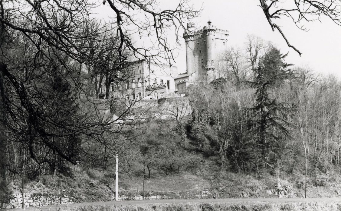 vue partielle du donjon et des ruines depuis le Sud-Est