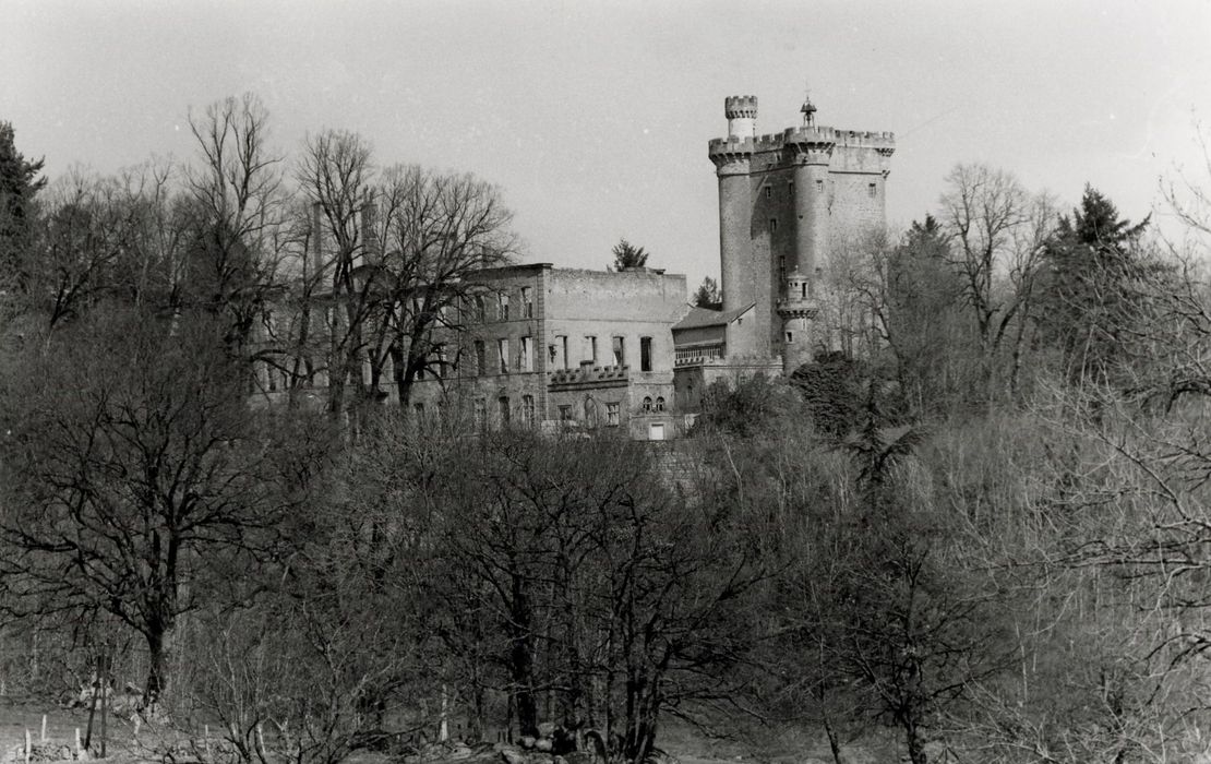 vue partielle du donjon et des ruines depuis le Sud-Est