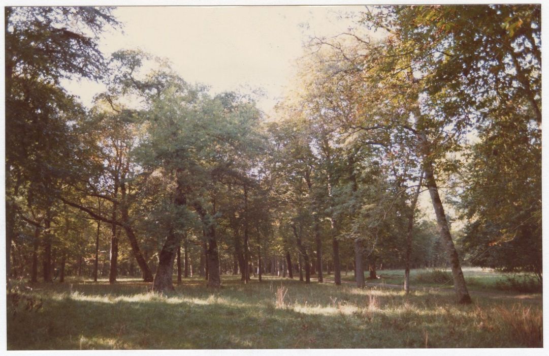 Parc, vue partielle