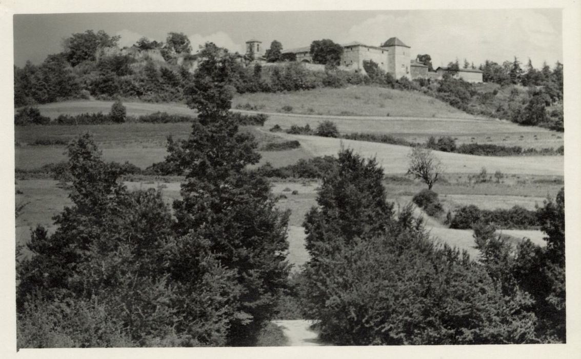 vue générale du château dans son environnement depuis le Sud-Ouest