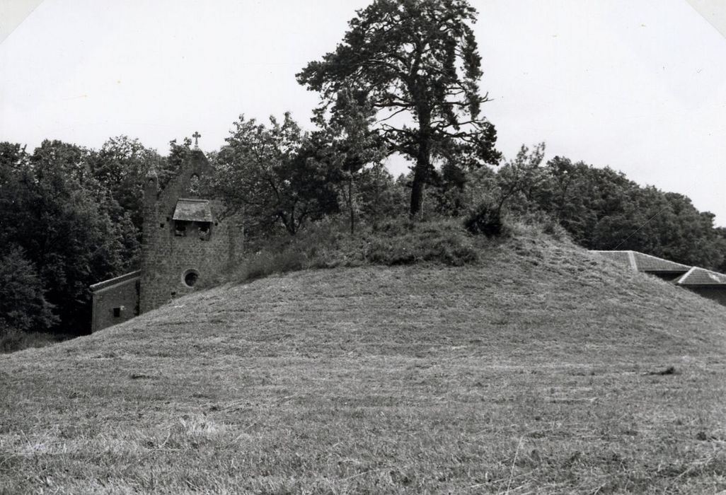 vue générale de la motte