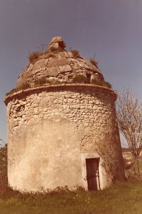 vue générale du pigeonnier