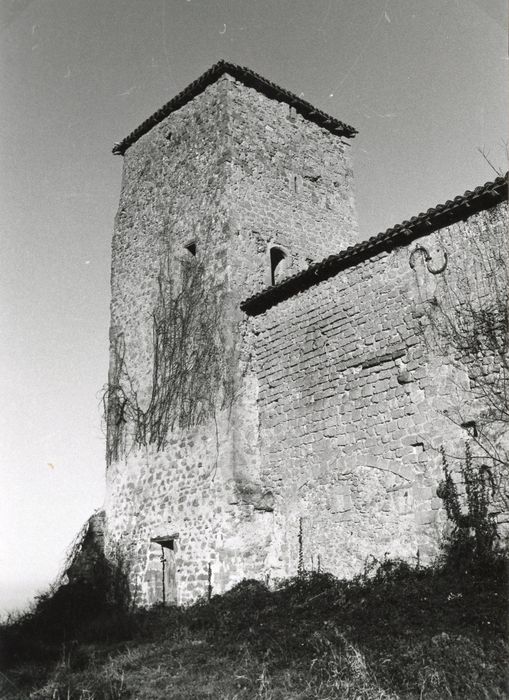 donjon, élévations sud et ouest