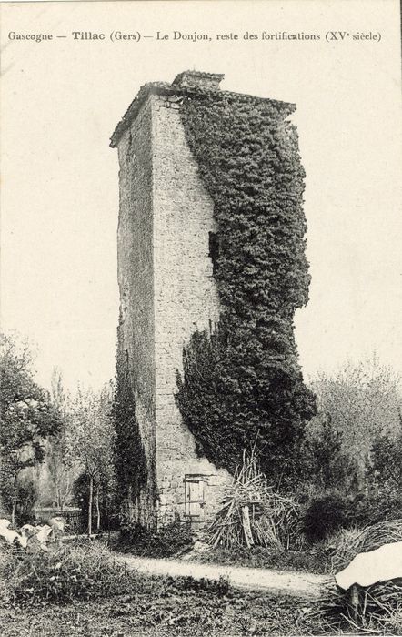 vue générale du donjon