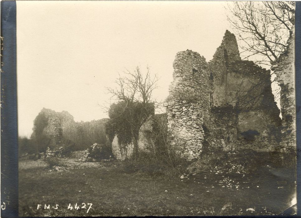 vue générale des vestiges