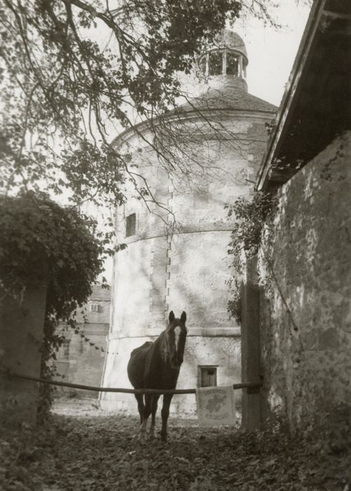 colombier, élévation est, vue partielle