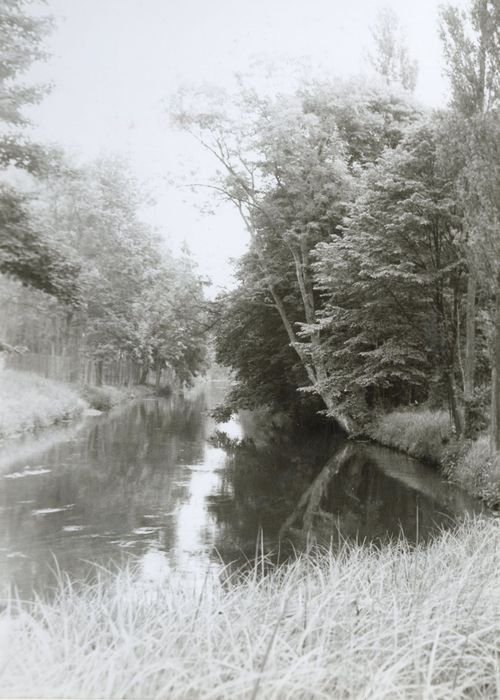 parc, rivière de la Juine séparant les grand et le petit parc