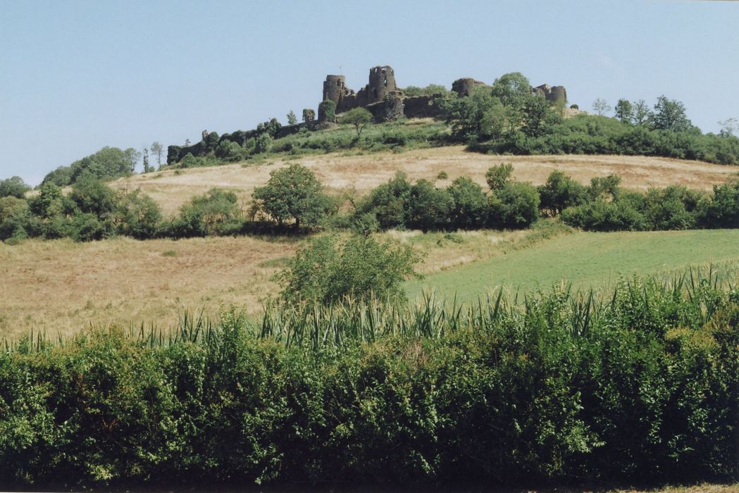 vue générale des ruines depuis le Sud-Ouest