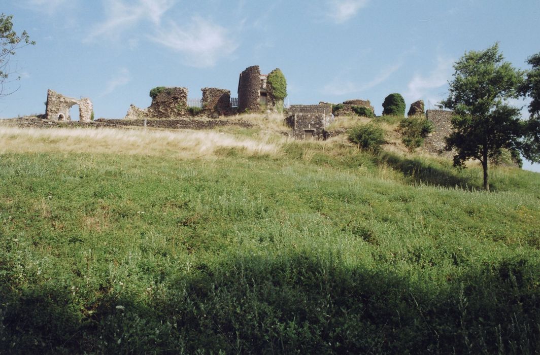 vue générale des ruines depuis l’avant-cour sud