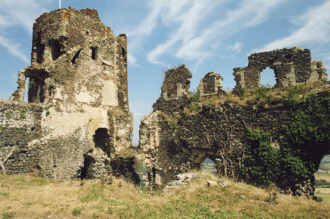 donjon nord et courtine nord vus de la haute-cour