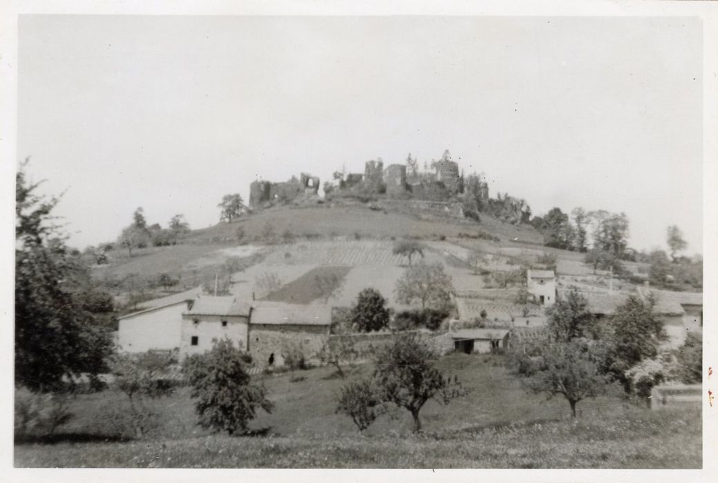 vue générale des ruines dans leur environnement