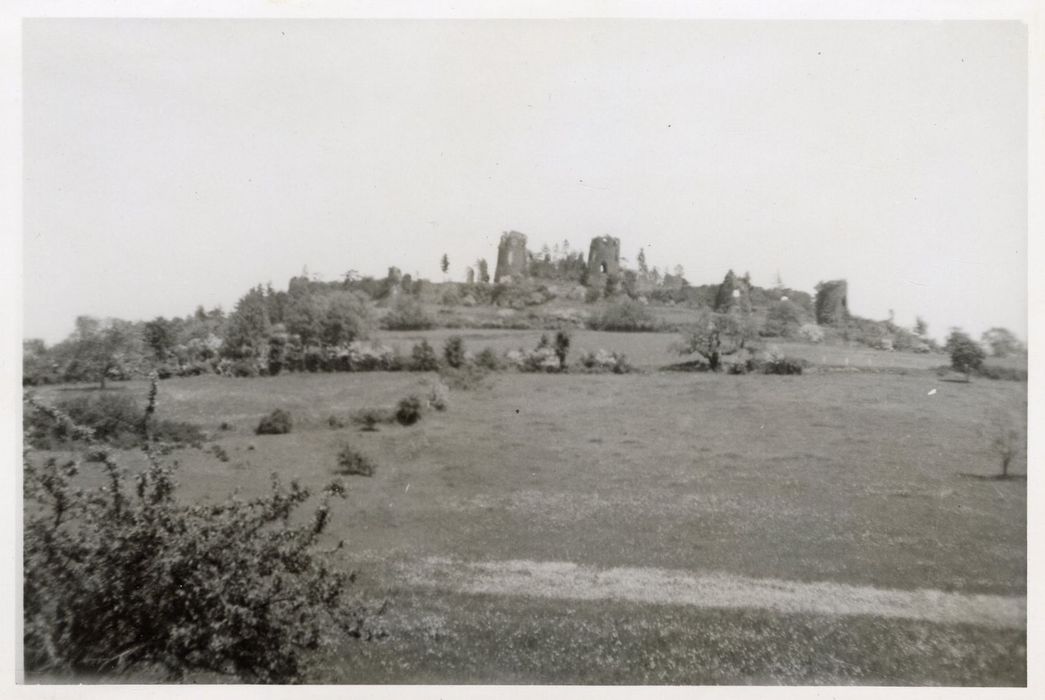 vue générale des ruines dans leur environnement