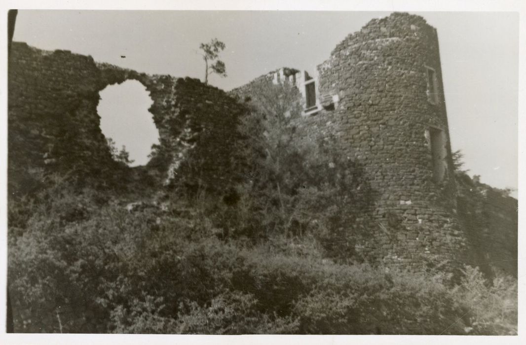 vue partielle des ruines depuis le Sud