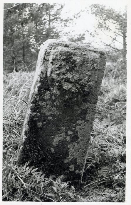 vue générale de la borne