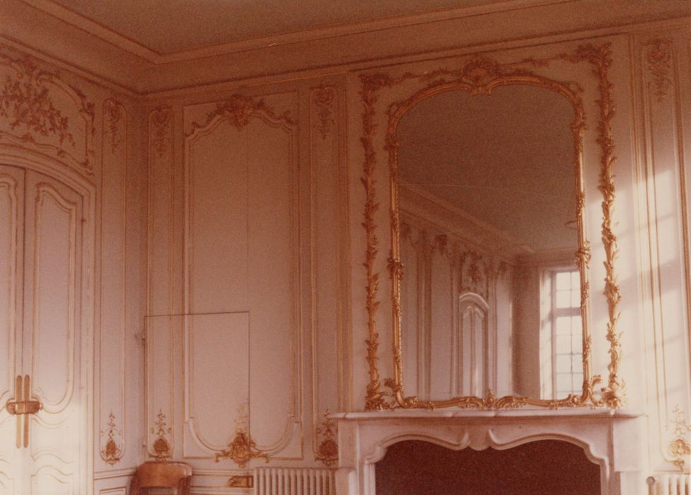 grand salon, lambris de revêtement, vue partielle