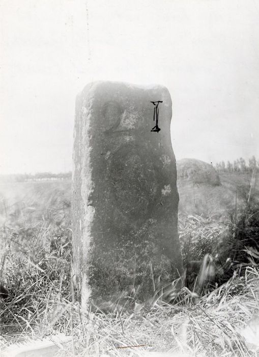 vue générale de la borne