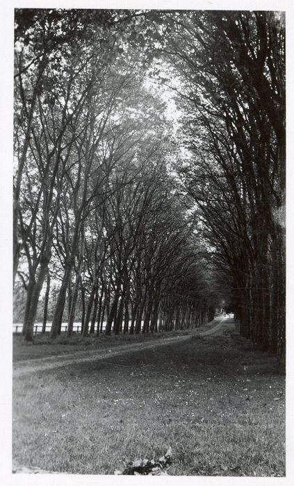 parc, grande allée d’alignement