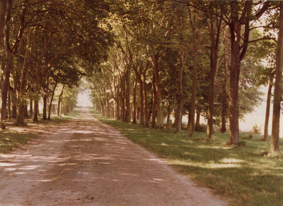 allée située dans l’axe Nord-Est de la cour d’honneur