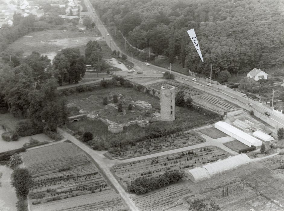 vue aérienne de l’ensemble des ruines dans son environnement