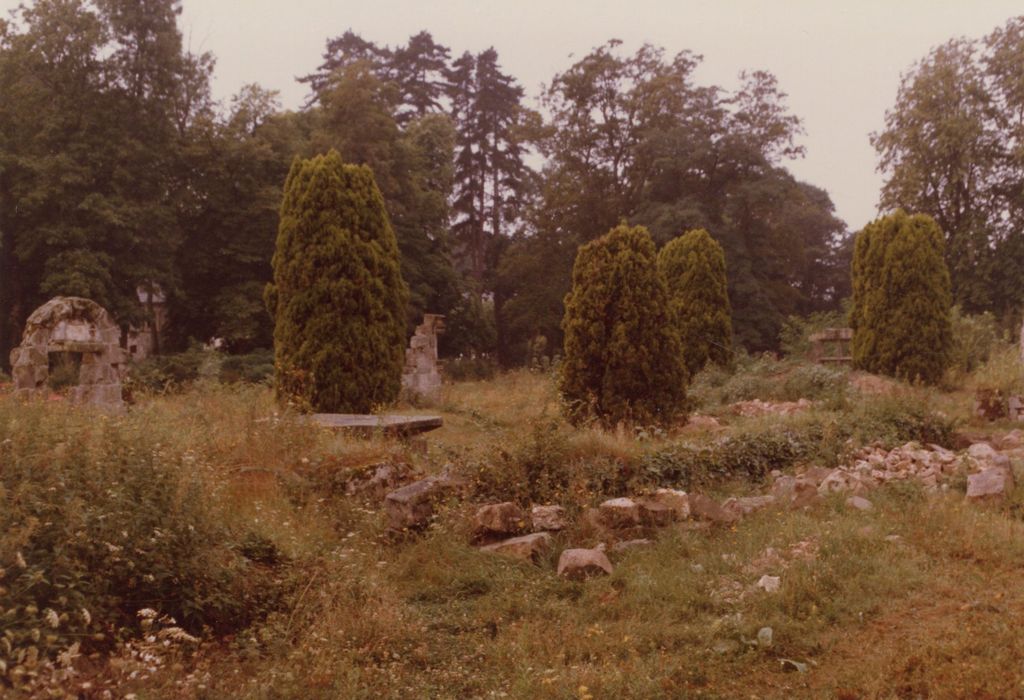 emplacement de l’ancien château-fort, vue partielle des vestiges