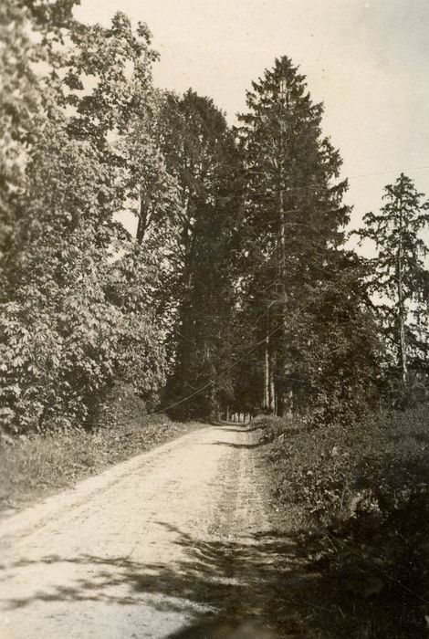 parc, allée d’accès