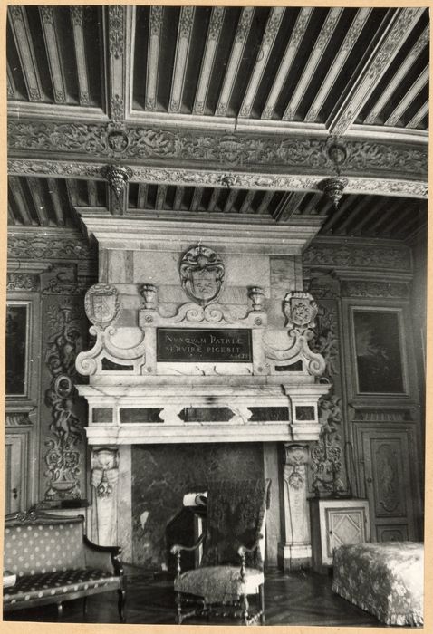 grand salon, cheminée monumentale