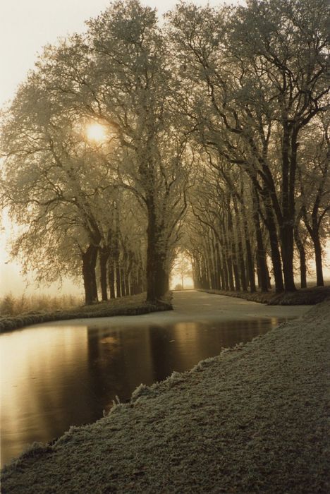 parc, vue partielle