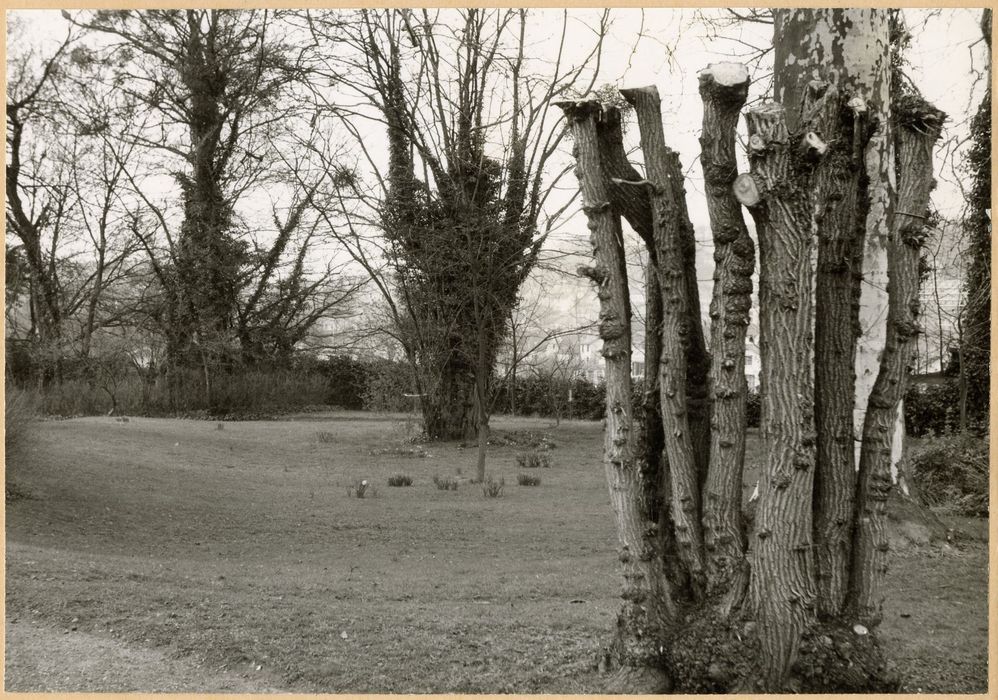 parc, vue partielle