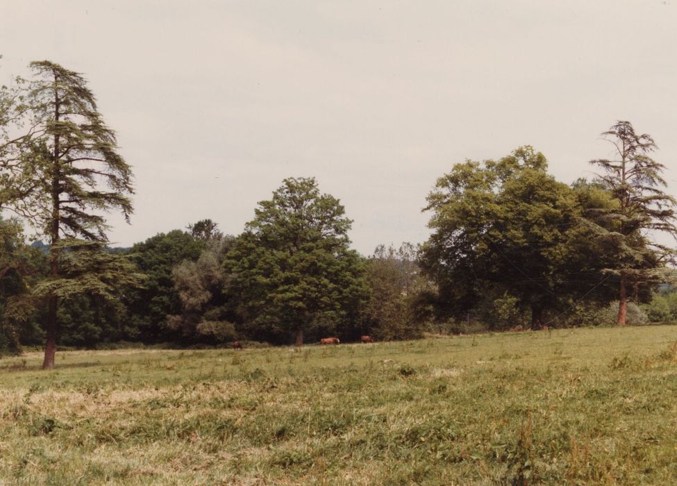 ancien parc, vue générale