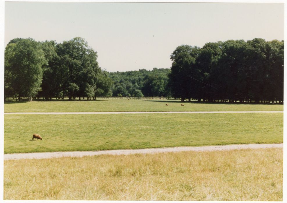 parc, vue partielle