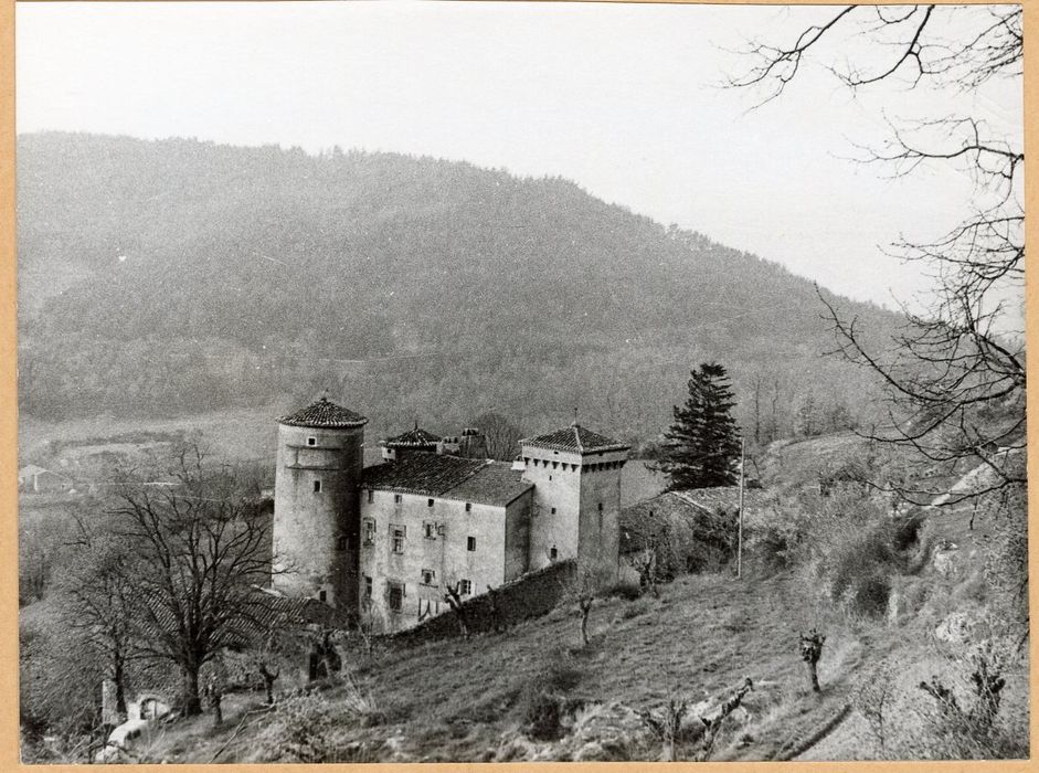 vue générale du château dans son environnement depuis le Nord-Est