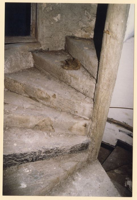 escalier à vis, détail de l’emmarchement