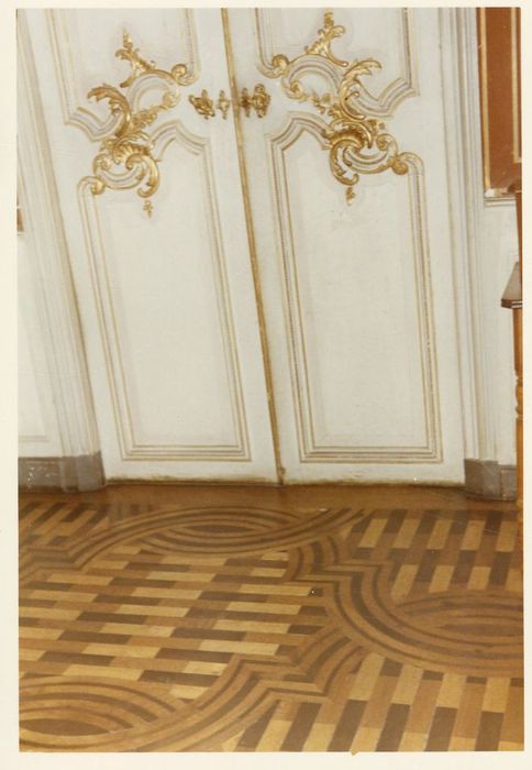 parquet du grand salon, détail