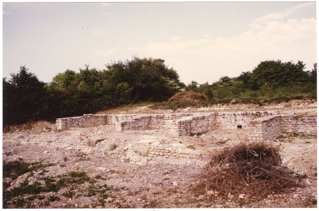 vue générale des vestiges du forum