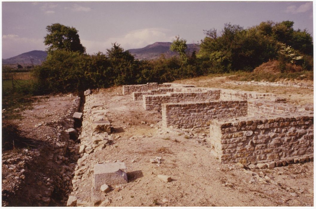 vue générale des vestiges du forum