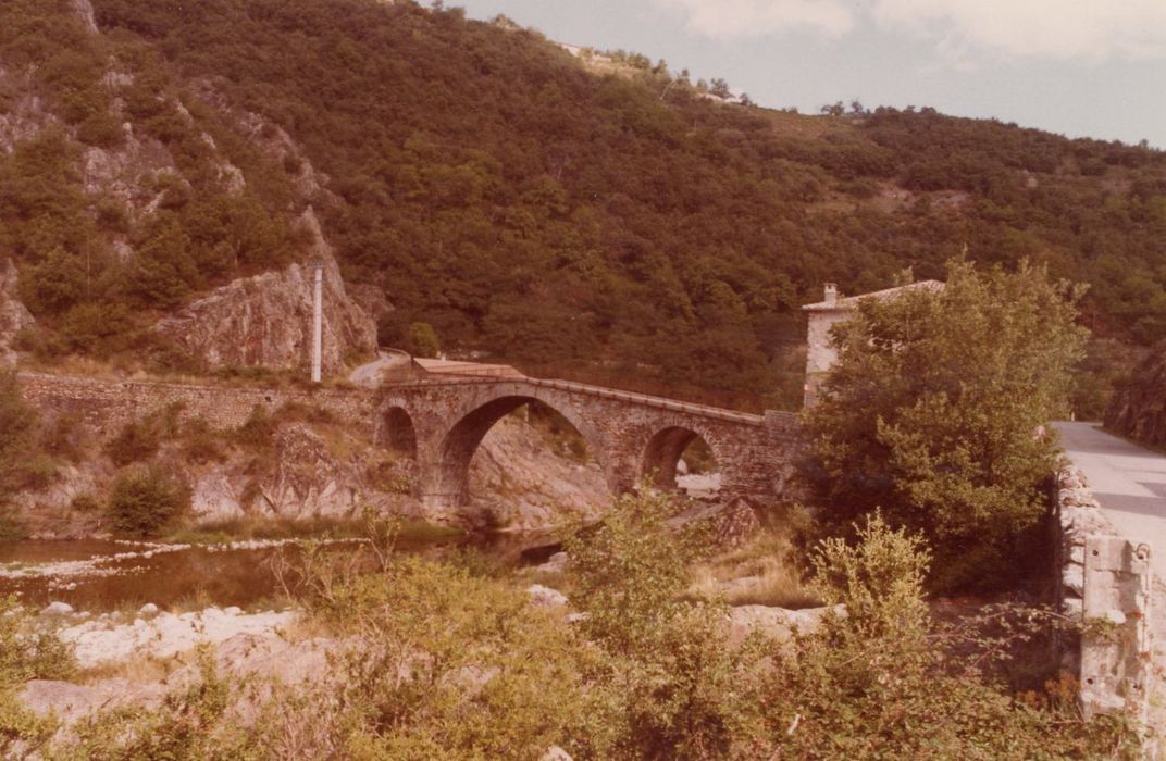 vue générale du pont depuis la rive est