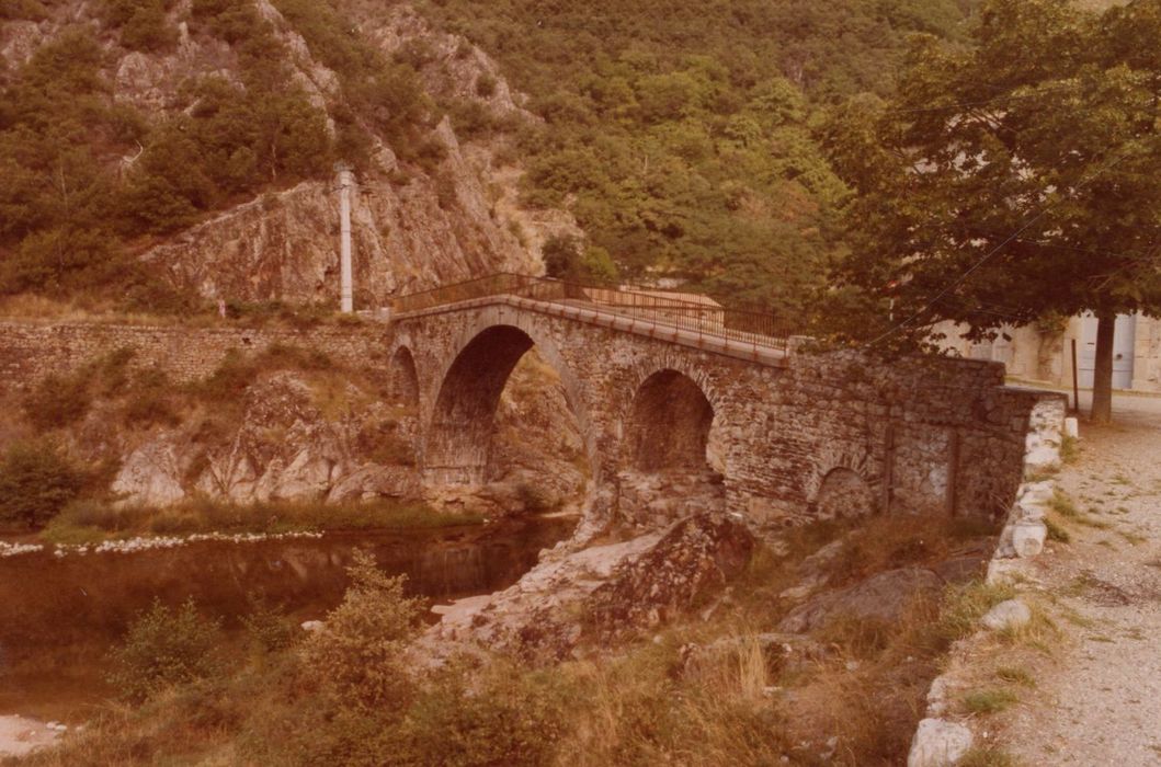 vue générale du pont depuis la rive est