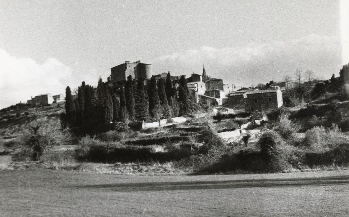 vue générale du château dans son environnement depuis le Nord-Ouest