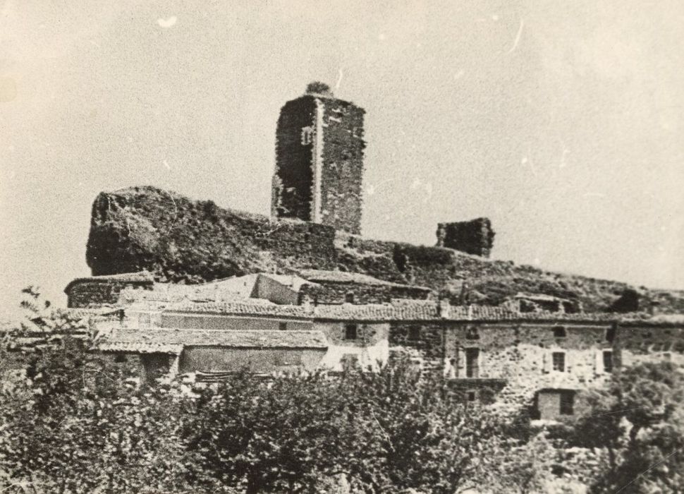 vue générale du château dans son environnement depuis le Sud-Ouest