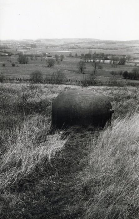 cloche d’observatoire