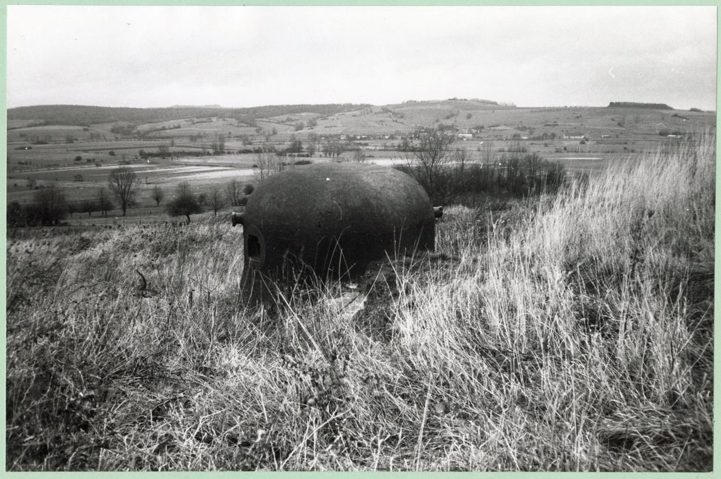 cloche d’observation