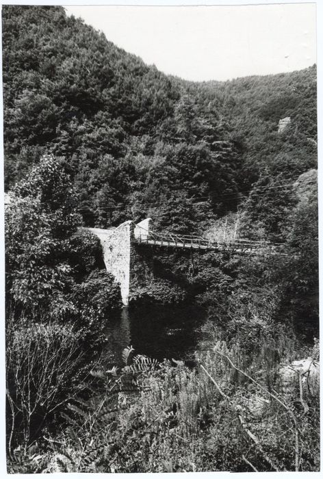 vue générale du pont dans son environnement depuis l’aval