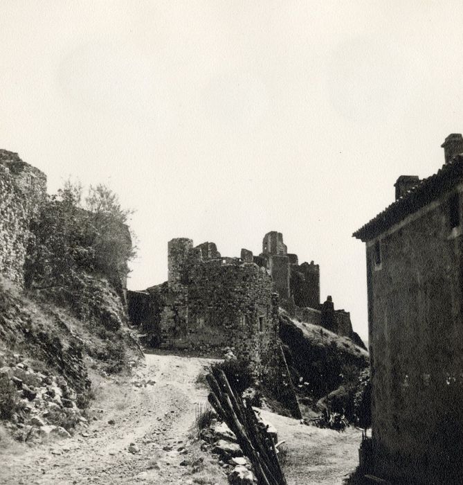 vue générale des vestiges du château