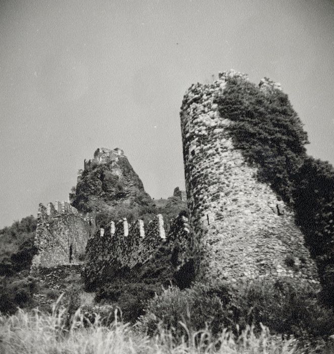 vue générale de l’enceinte au Sud