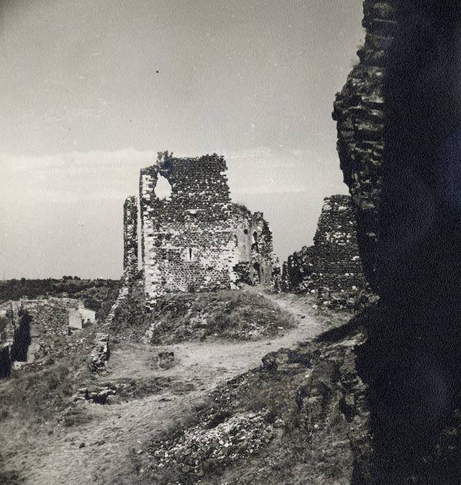 vue générale des vestiges du château