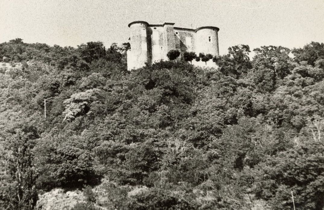 vue générale du château dans son environnement depuis le Sud-Est