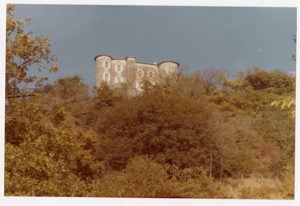 vue partielle du château dans son environnement depuis le Sud-Ouest