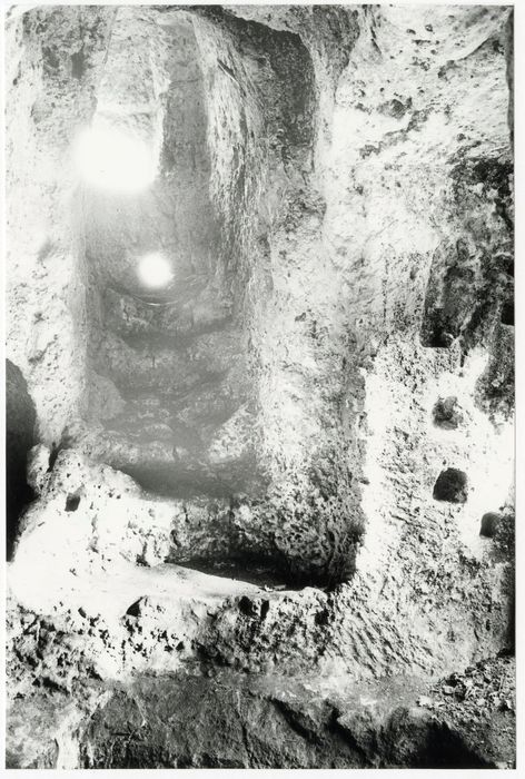 vue partielle du site : escalier et fosse-piège de l’entrée