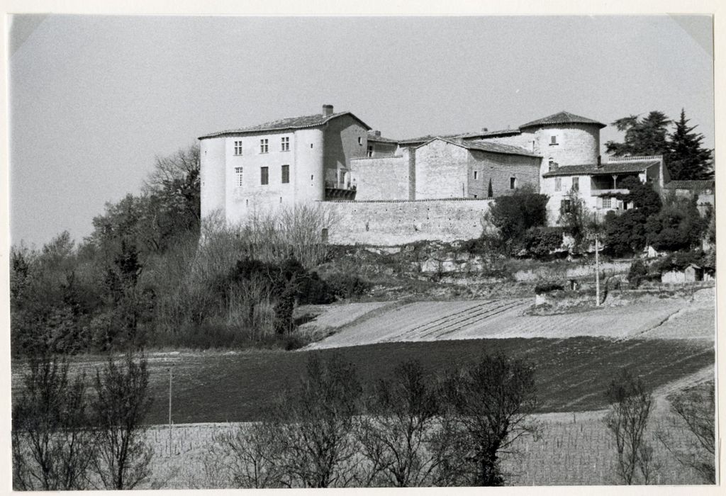 Vue générale du château dans son environnement depuis le Sud